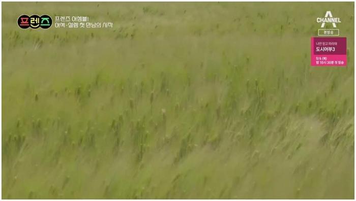 리얼.청춘.일기 프렌즈.E11.210505.720p-NEXT